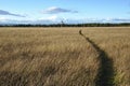 Culloden Battlefield