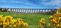 Culloden viaduct and gorse