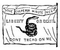 The Culpepper Flag, vintage illustration