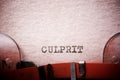 Culprit concept view