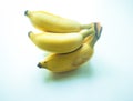 Cultivate banana Royalty Free Stock Photo