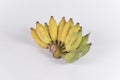 A cultivate banana isolated object Royalty Free Stock Photo