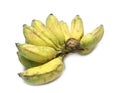 Cultivate bananas, yellow bananas on isolate white background.