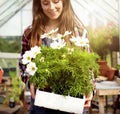 Cultivate Garden Nature Seasonal Growth Concept Royalty Free Stock Photo