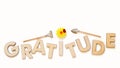 Cultivate Gratitude Concept With Wooden Capital Letters