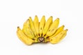 Cultivated banana Ducasse banana on white background Royalty Free Stock Photo