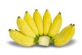 Cultivated banana isolated on a white background, Clipping Path no shadow, Nutrients of bananas have a variety of energy, Royalty Free Stock Photo