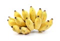 Cultivated banana isolated on white background. Ripe cultivated banana isolated. Yellow cultivated banana isolated. Royalty Free Stock Photo