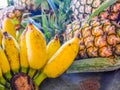 Cultivated banana ripe cultivated banana call Kluai Nam Wa in Thai and Pineapple fruit Royalty Free Stock Photo