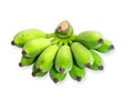 Cultivated Banana, Thai Banana 001 Royalty Free Stock Photo