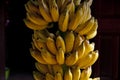 Cultivated banana in Thailand