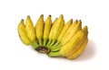 Cultivated banana. white background. clipping path Royalty Free Stock Photo