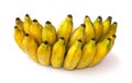 Cultivated banana. white background. clipping path Royalty Free Stock Photo