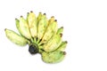 Cultivated banana on white background,Clipping Path. Royalty Free Stock Photo