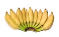 Cultivated banana. white background. clipping path Royalty Free Stock Photo