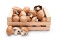 Cultivated brown champignons in wooden crate Royalty Free Stock Photo