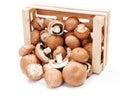 Cultivated brown champignons in wooden crate Royalty Free Stock Photo