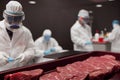 Cultivated cell-based meat grown in lab with scientists working in the background Royalty Free Stock Photo