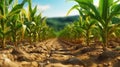 Cultivated corn field earth day concept. Generative AI Royalty Free Stock Photo
