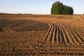 Cultivated farm field agriculture landscape