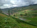 Cultivated farm field landscape