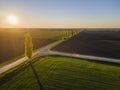 Cultivated farm fields