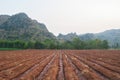 Cultivated farmland field soil - agriculture landscape