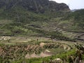 Cultivated farmland in mountain landscape, Ethiopia