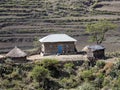 Cultivated farmland in mountain landscape, Ethiopia