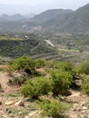 Cultivated farmland in mountain landscape, Ethiopia