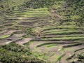 Cultivated farmland in mountain landscape, Ethiopia