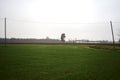 Cultivated field on a cloudy day with a tree framed by an over head electricity cable in the distance Royalty Free Stock Photo