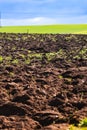 Cultivated field freshly ploughed by sunny day