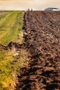 Cultivated field freshly ploughed by sunny day