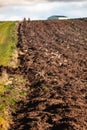 Cultivated field freshly ploughed by sunny day