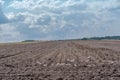 A cultivated field on a hill in a large clearing in the middle of the forest a dramatically cloudy sky. Royalty Free Stock Photo