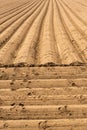 Cultivated field, ploughed rows in pattern Royalty Free Stock Photo