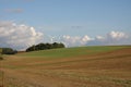 Cultivated field and wind turbine in Champagne Royalty Free Stock Photo