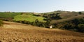 Cultivated fields