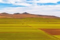 Cultivated fields at the beginning of spring. Arable land Royalty Free Stock Photo