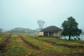 Cultivated fields and farmhouse in a foggy day Royalty Free Stock Photo