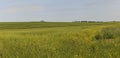 Cultivated fields in the mountains of Gobustan (Azerbaijan) Royalty Free Stock Photo