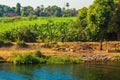 Cultivated fields on the Nile River