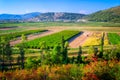 Cultivated fields in southern Croatia Royalty Free Stock Photo