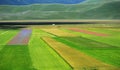 Cultivated and flowery fields of Castelluccio di Norcia