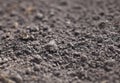 Cultivated gray dried soil Royalty Free Stock Photo