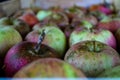 Cultivated homemade apples that are perfectly arranged in a wooden crate