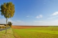 Cultivated land Royalty Free Stock Photo