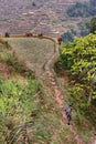 Cultivated land in mountains southwestern China, rice terraces,