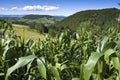 Cultivated land on top of Manjaca mountain